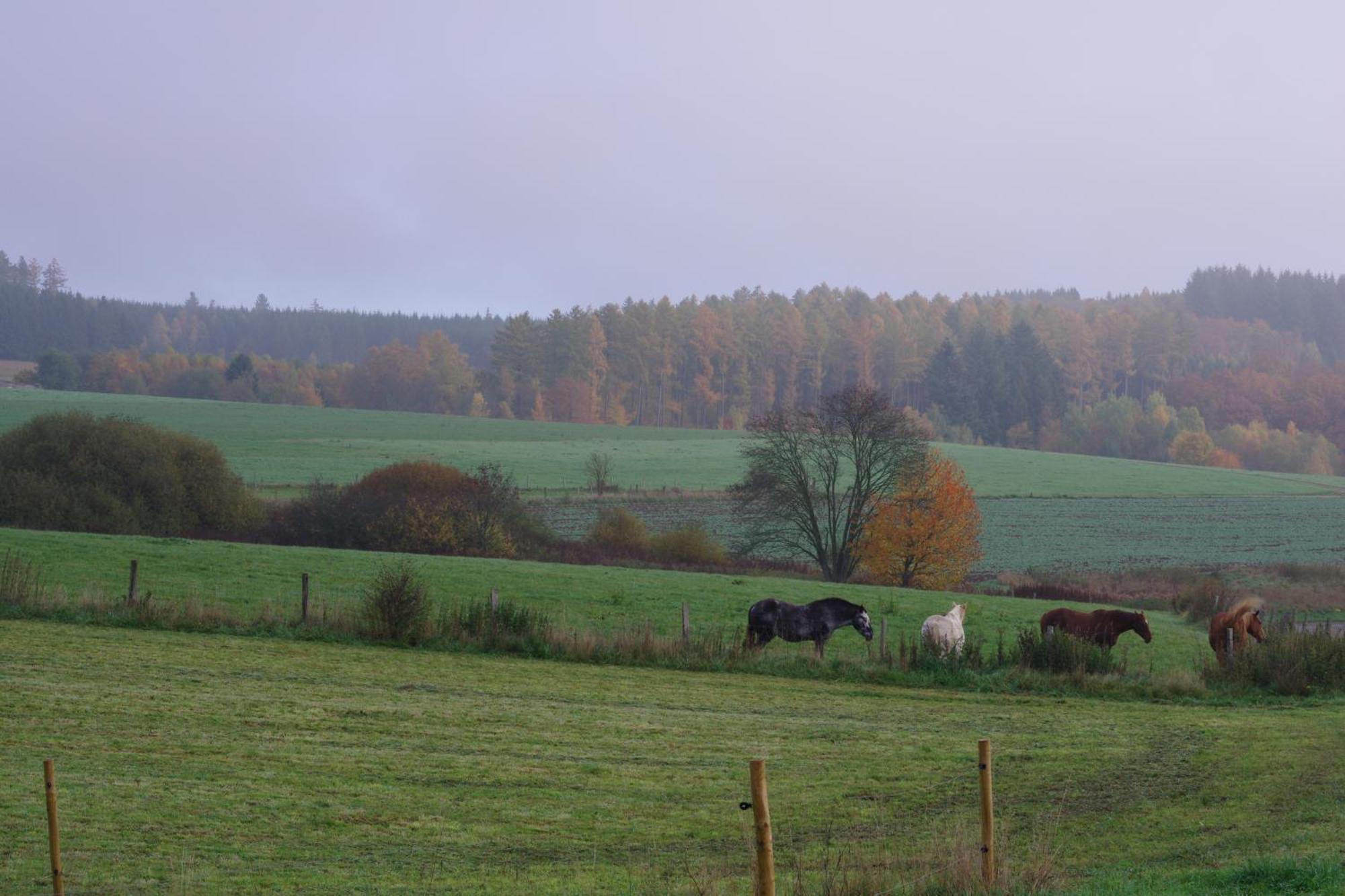 Maison Berton Gedinne Bagian luar foto